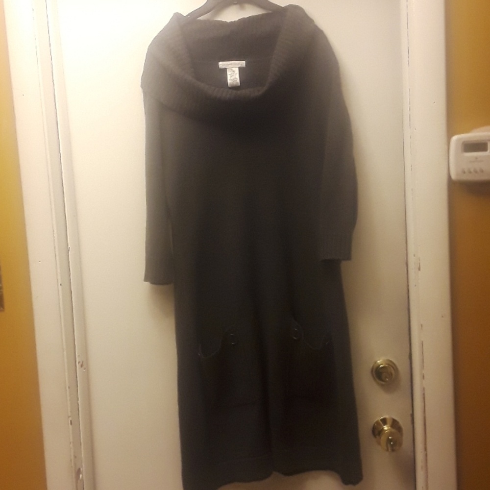 sweater dress